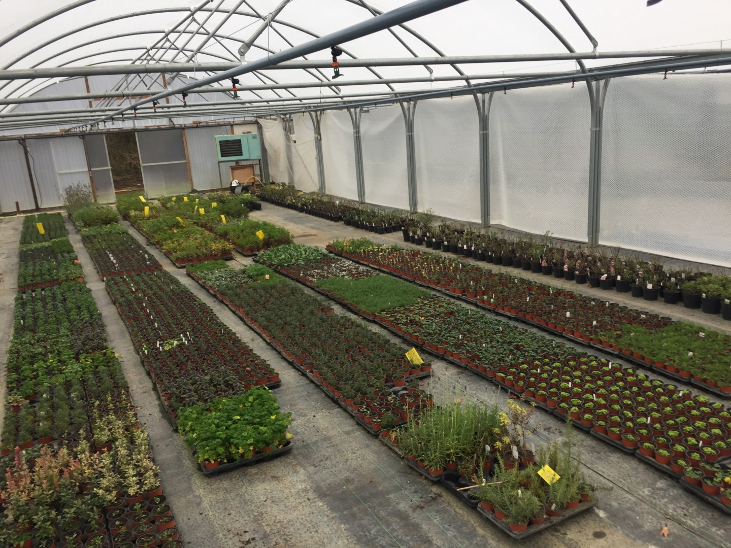 Nurseries and Garden Centres - KG Irrigation Services